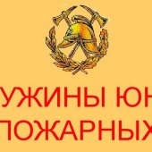 Боевой листок команды ДЮП МКОУ «СОШ №1 г. Жирновска»