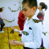 Выставка тропических бабочек